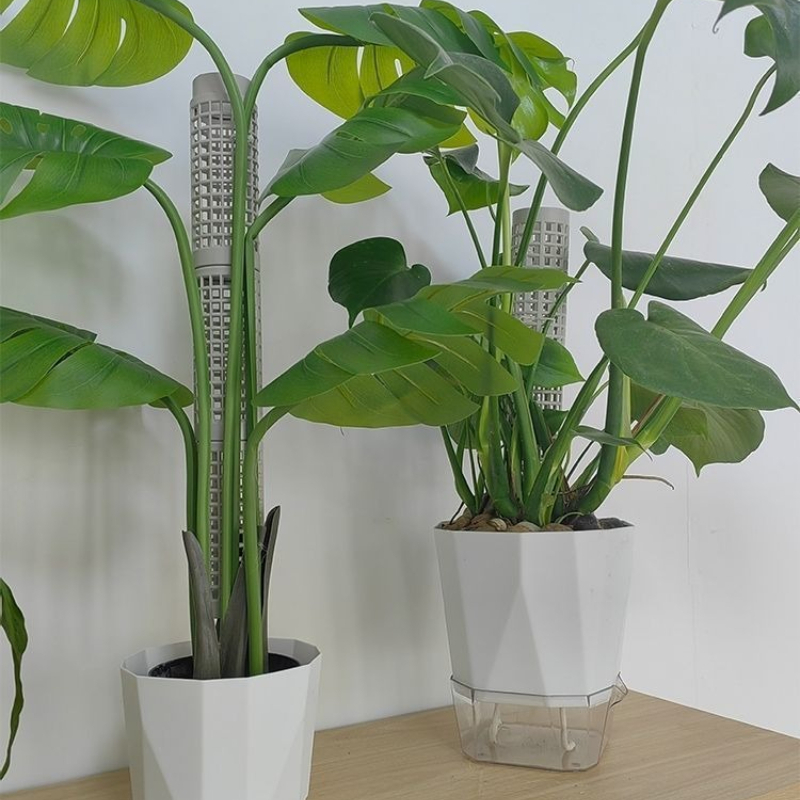 3pcs Plastic Moss Pole, Each 5 - Tree Stand Ladder review and price