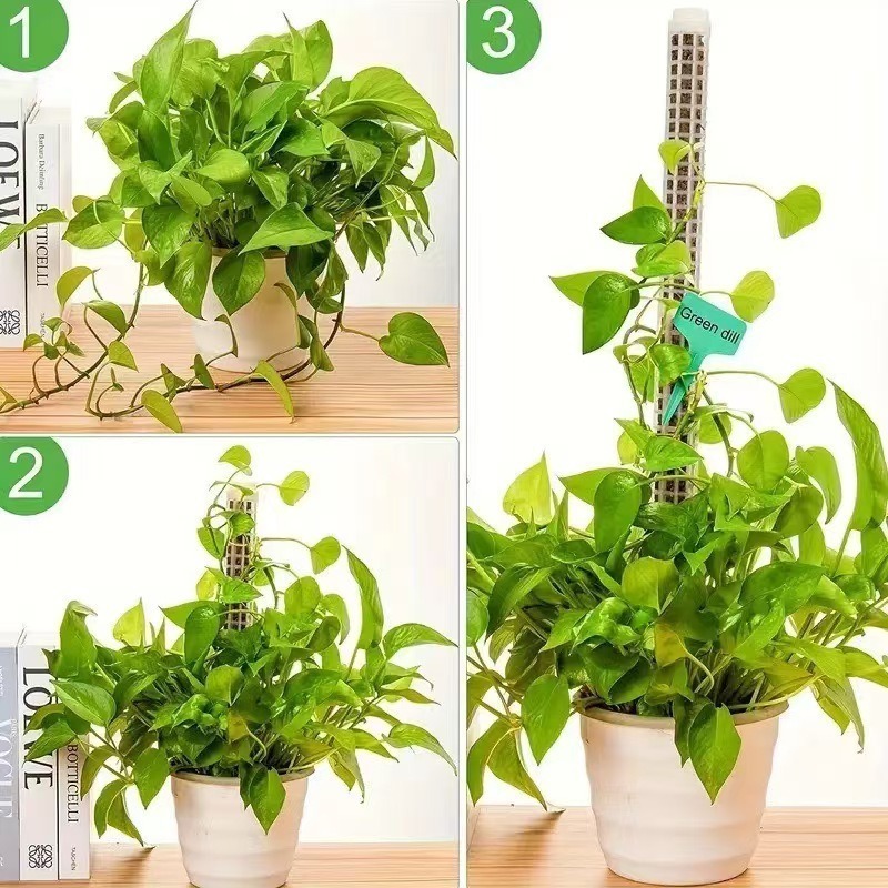 1/2/3pcs Self-watering Moss Po - Tree Stand Ladder review and price